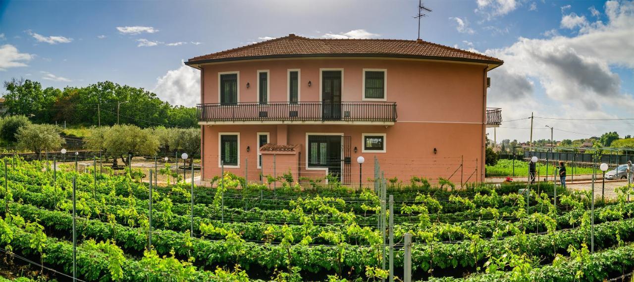 Bee Happy - Bed And Breakfast Zafferana Etnea Dış mekan fotoğraf