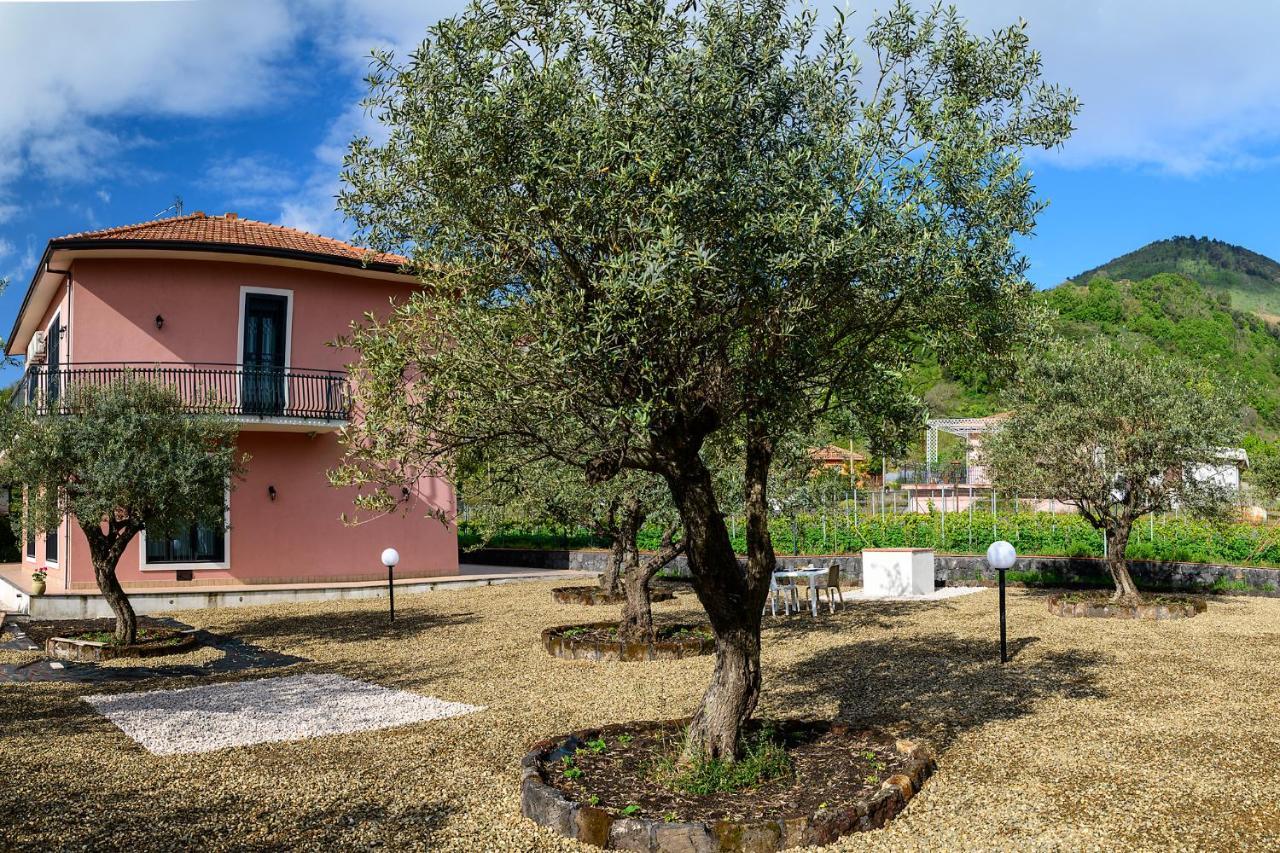 Bee Happy - Bed And Breakfast Zafferana Etnea Dış mekan fotoğraf